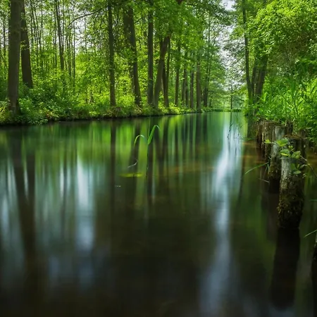 Seeblick * Grosser Mochowsee * Oberer Spreewald Lamsfeld